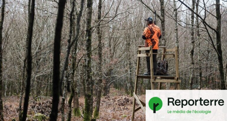 Chasse : quatre décès signalés durant la saison 2025-2026 en France