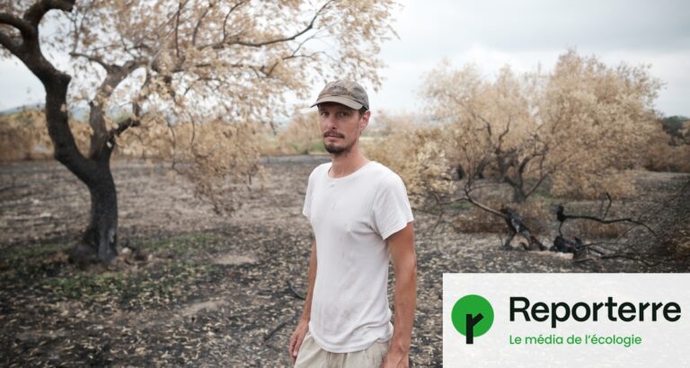 Après les incendies, des agriculteurs partagent leur savoir-faire sur le feu et la solidarité.