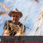 Des agriculteurs alsaciens fournissent des céréales anciennes aux boulangers locaux.