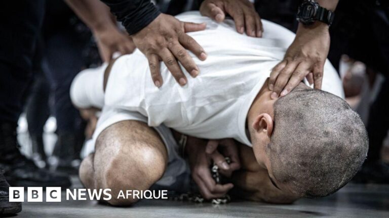 Les méga-prisons du Salvador inspirent des politiques sécuritaires en Amérique latine.