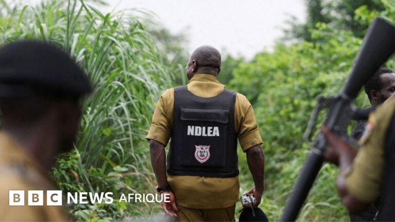 Trafic de drogue au Nigéria : les cartels mexicains délocalisent la production de méthamphétamine
