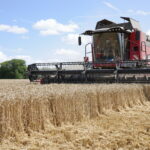 Risque d’incendie dans le Morbihan : interdiction de moissonner pour les agriculteurs dans 80 communes.