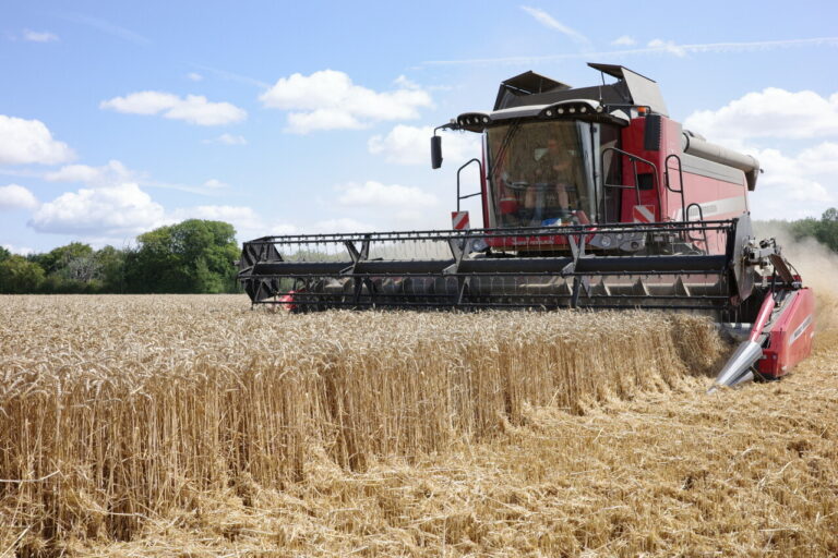 Risque d’incendie dans le Morbihan : interdiction de moissonner pour les agriculteurs dans 80 communes.