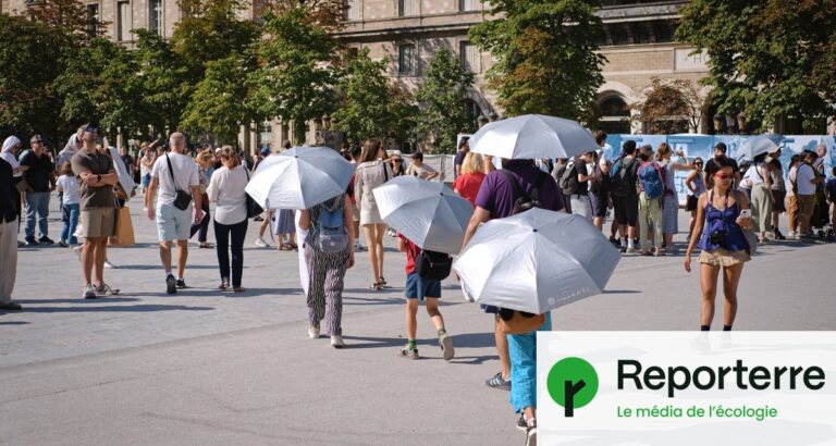 Quatrième vague de fortes chaleurs en France avec des températures atteignant 40 °C.