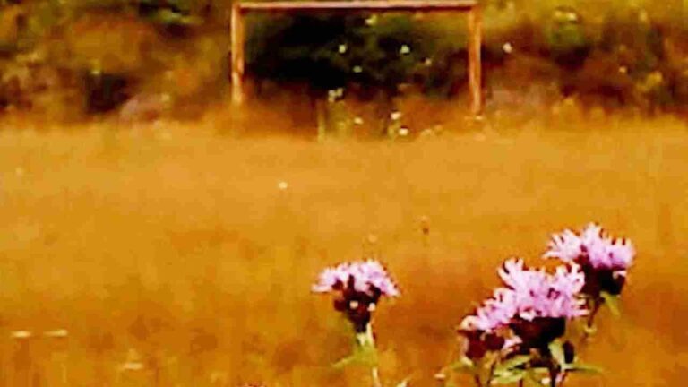 Le film noté 4,3/5 qui suscite des réactions mitigées chez les spectateurs