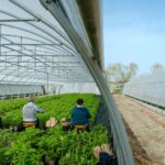 Cerdys s&rsquo;implante au sein d&rsquo;une coopérative pour renforcer son réseau local.