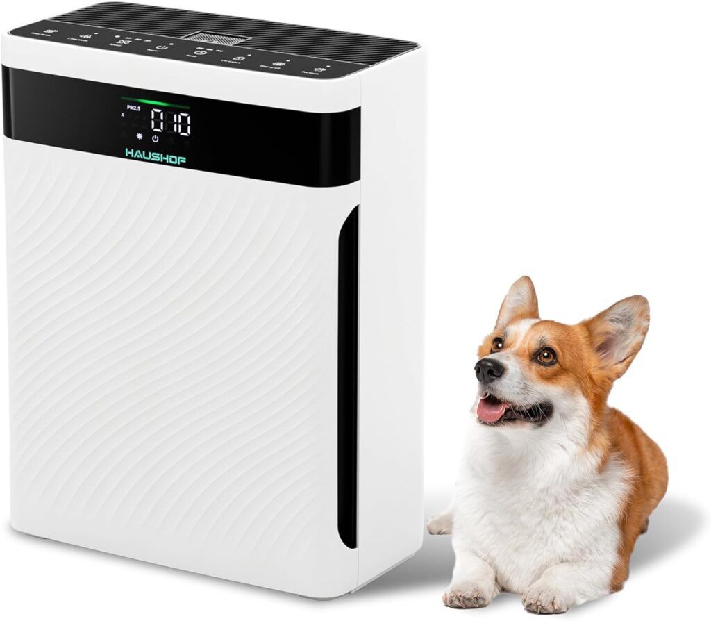 HAUSHOF H13 CADR HEPA : Purificateur d’air 250m³/h avec filtre 4-en-1 et mode animal.
