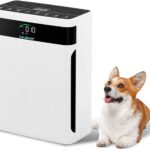 HAUSHOF H13 CADR HEPA : Purificateur d’air 250m³/h avec filtre 4-en-1 et mode animal.