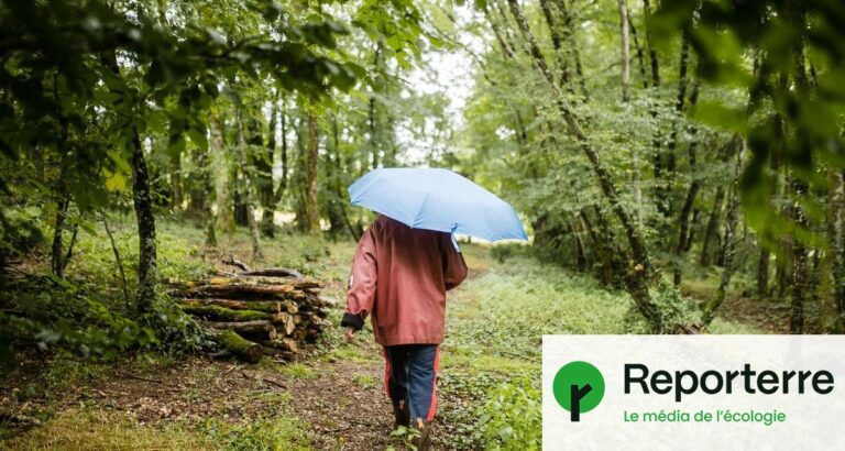 Clôtures et forêts engrillagées : enjeux pour la liberté de circulation en milieu rural