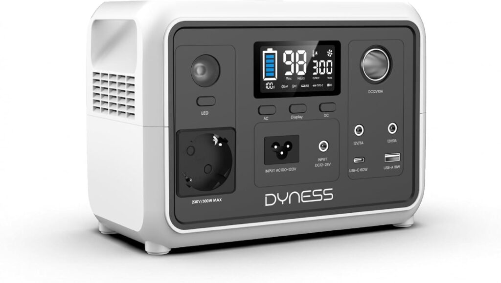 Dyness 300W : Générateur portable électrique avec batterie LiFePO4 pour camping et voyages