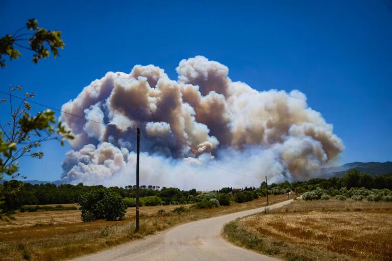 Feu de forêt en Andalousie : 12 décès signalés parmi les victimes.