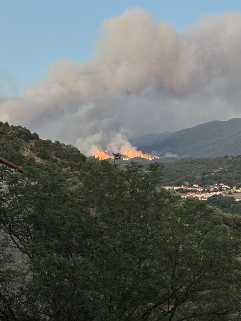 Incendies en forêt : une enquête souligne la responsabilité humaine en France.