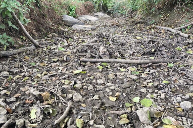 Renforcement des restrictions d’usage de l’eau en Ille-et-Vilaine face à la sécheresse.