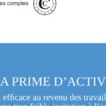 Prime d&rsquo;activité et AAH : La Cour des Comptes souligne des incohérences financières en France.