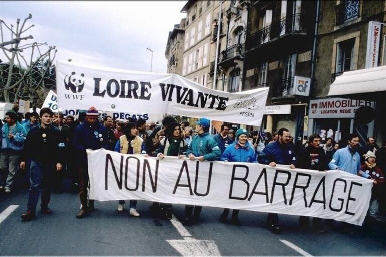Le combat des associations pour préserver la Loire face aux projets de barrages
