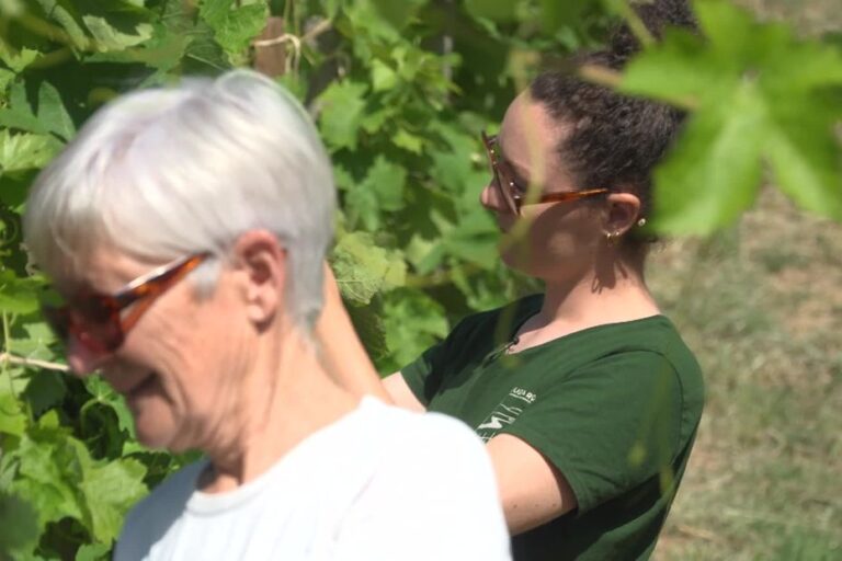 Camille reprend les vignes familiales de Saint-Joseph et s’affirme dans le monde du vin.
