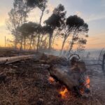 Incendies dans l’Aude : un livre retrace le combat des pompiers durant l’été 2025
