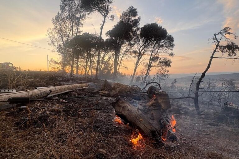 Incendies dans l’Aude : un livre retrace le combat des pompiers durant l’été 2025