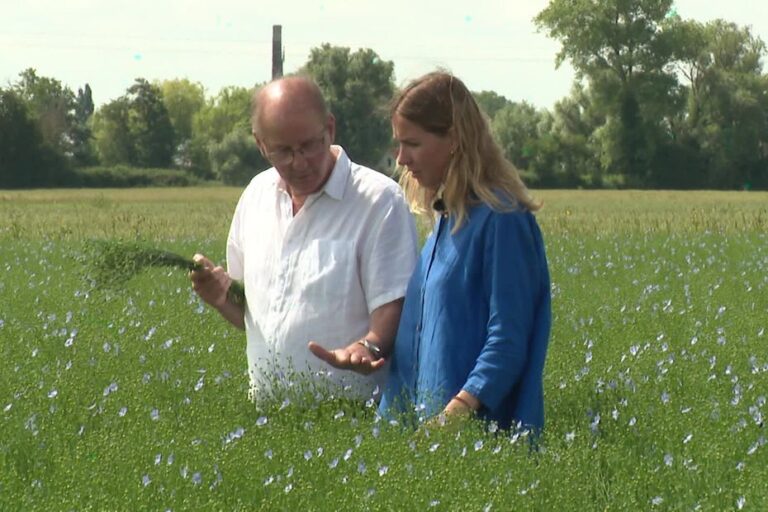 Une artisan du lin en France valorise le savoir-faire traditionnel avec succès
