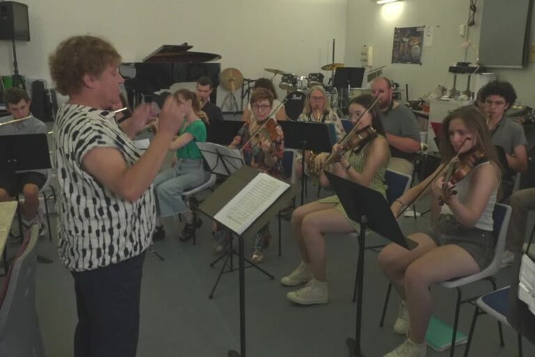 École de musique en difficulté financière lutte pour sa survie face à un modèle obsolète.