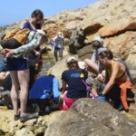 Des photos de plage contribuent à la recherche sur les espèces marines disparues.