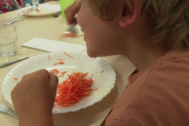 Une municipalité aménage un potager près de l’école pour approvisionner la cantine en légumes bio.