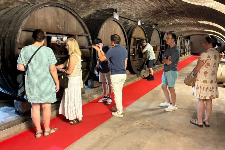 L’œnotourisme dans le Var se diversifie au-delà du vin pour attirer de nouveaux visiteurs.