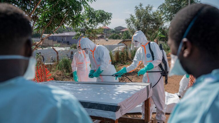 L’ONU prévient que l’épidémie d’Ebola pourrait coûter 3,6 milliards de dollars à l’Afrique.