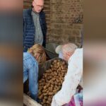 Des producteurs français contraints de céder leurs pommes de terre à prix réduit