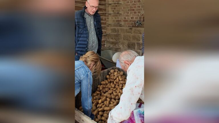 Des producteurs français contraints de céder leurs pommes de terre à prix réduit