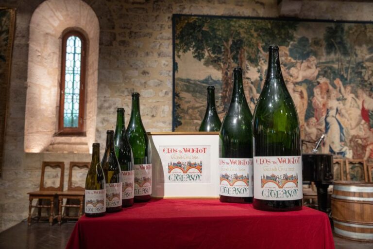 Vente de vins au Clos de Vougeot pour financer la rénovation de l’abbaye de Cîteaux