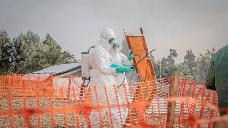 Ebola en République démocratique du Congo : le bilan dépasse 400 décès.