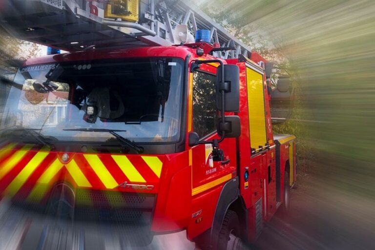 Incendie dans le Puy-de-Dôme : 20 hectares de forêt détruits, menaces pour l’écosystème local