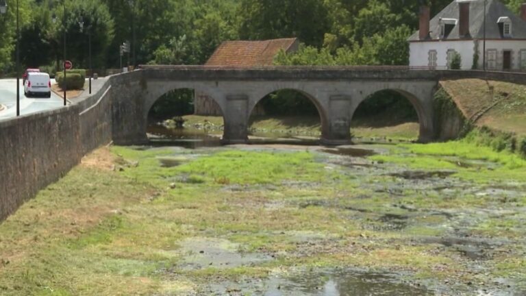 Sécheresse exceptionnelle en France : des sols atteignent des niveaux de sécheresse alarmants