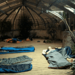 Nuit d’expérimentation dans les serres du Jardin des Plantes à Paris.