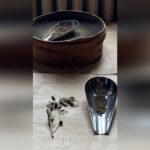 Les secrets des graines du Jardin des Plantes révélés par des chercheurs français.