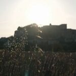Grignan, un site historique de la Drôme provençale, attire de nombreux visiteurs chaque année.