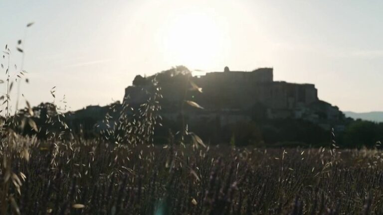 Grignan, un site historique de la Drôme provençale, attire de nombreux visiteurs chaque année.