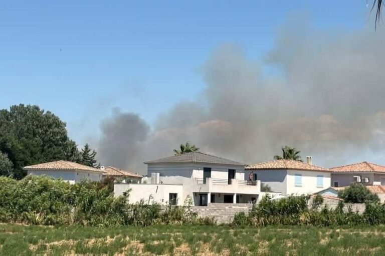 Feu de broussailles près de Marseille : intervention d’une centaine de pompiers et d’un hélicoptère.