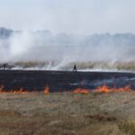 Incendie dans le Tarn-et-Garonne : 15 hectares de cultures détruits, deux maisons préservées.