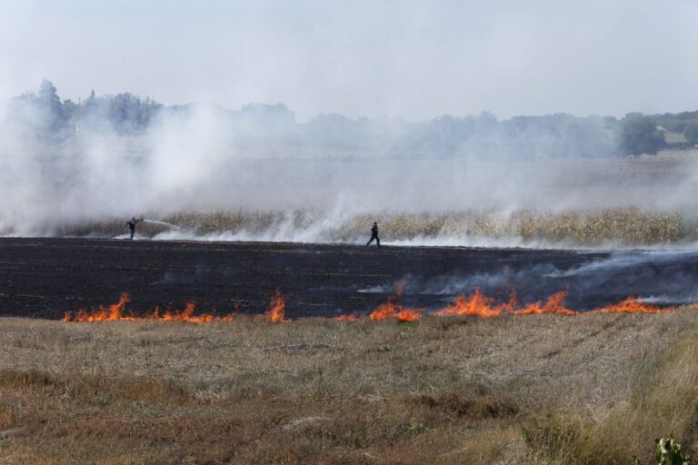 Incendie dans le Tarn-et-Garonne : 15 hectares de cultures détruits, deux maisons préservées.