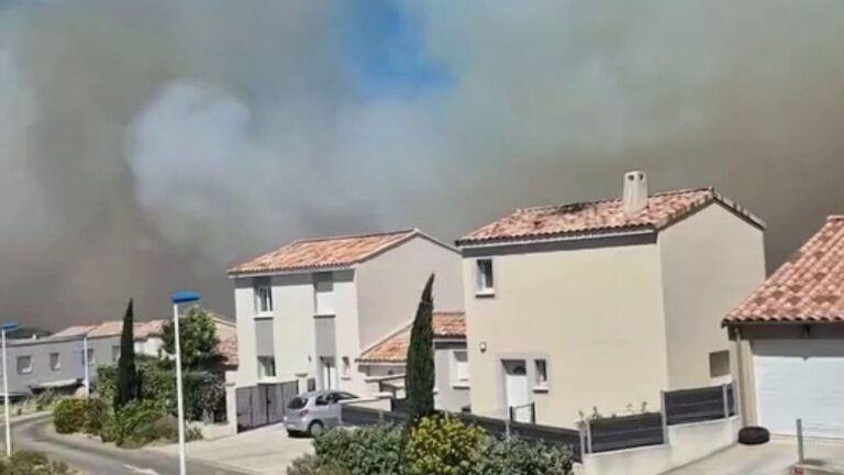 Incendie dans le Gard : les habitations protégées après l’intervention des pompiers