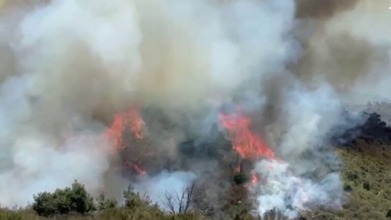 Incendie dans les Pyrénées-Orientales : plus de 1000 hectares de forêt détruits