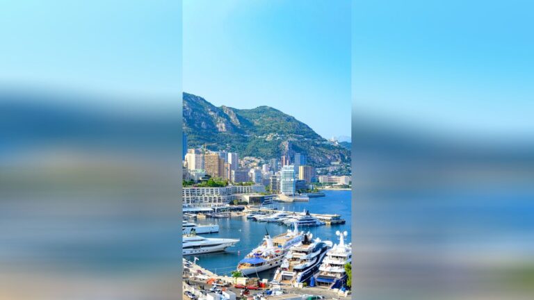 Deux anciens proches du prince Albert II de Monaco dénoncent une traque après leur éviction.