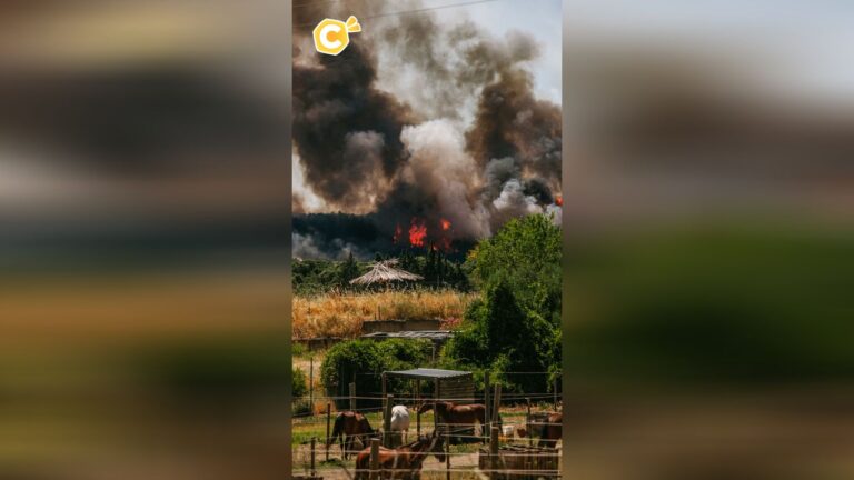 La France active un plan d’urgence face aux risques d’incendies de forêt.