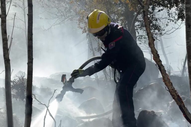 Risque d’incendie élevé dans le Bas-Rhin, de nouvelles mesures de prévention adoptées.