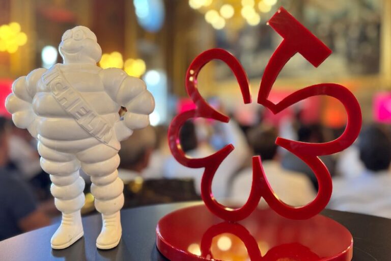 Palmarès des premières ‘Grappes’ Michelin pour les domaines viticoles en France