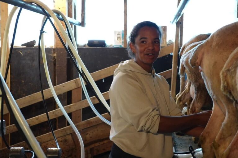 Fromages et produits laitiers : Anta et Xavier élèvent des brebis dans le Jura.