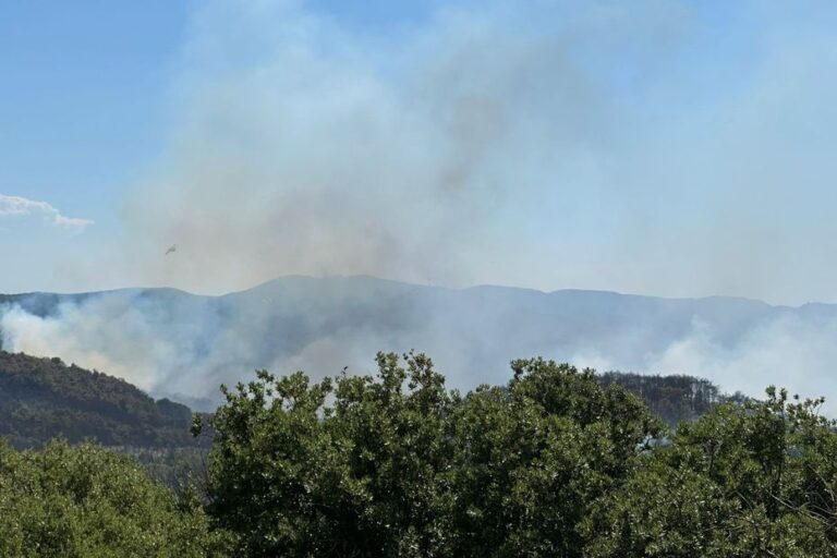 Incendie dans l’Hérault : quatre Canadair et 180 pompiers mobilisés à Carlencas