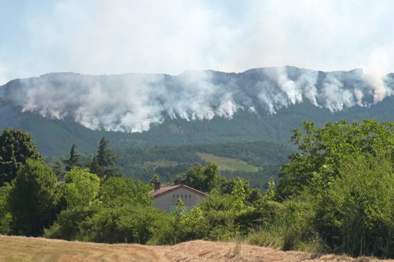 Incendies en cours dans la Drôme, l’Ain, l’Ardèche et le Rhône : point sur la situation actuelle.